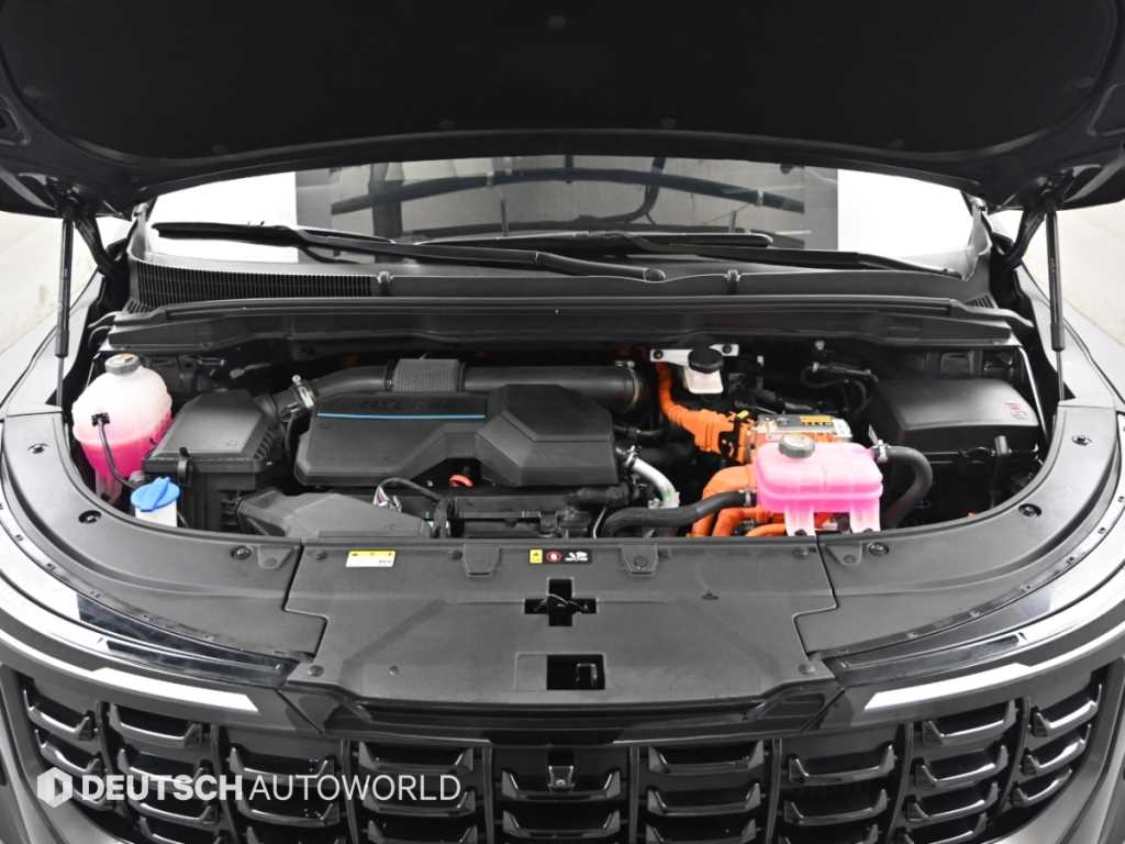 Kia Carnival — photo 06