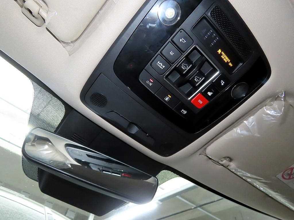 Kia Carnival — photo 13