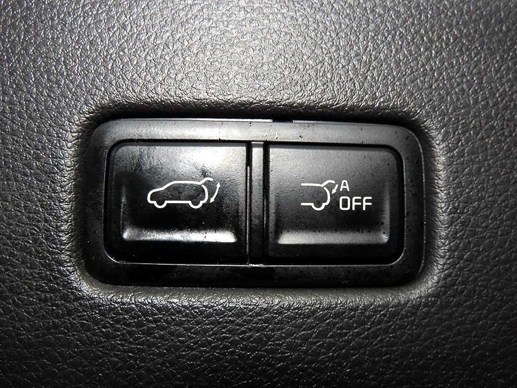 Kia Carnival — photo 15