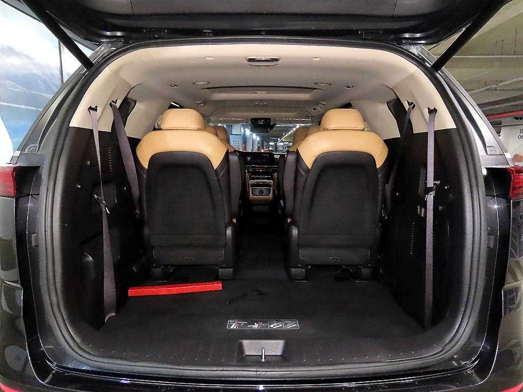 Kia Carnival — photo 16