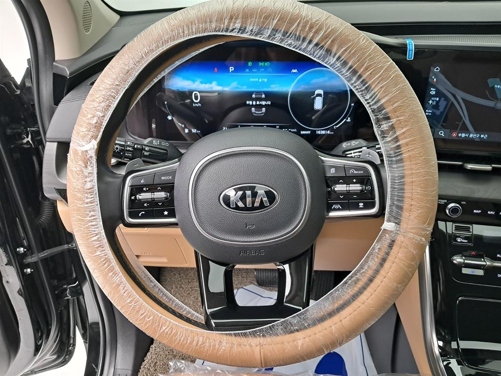 Kia Carnival — photo 07