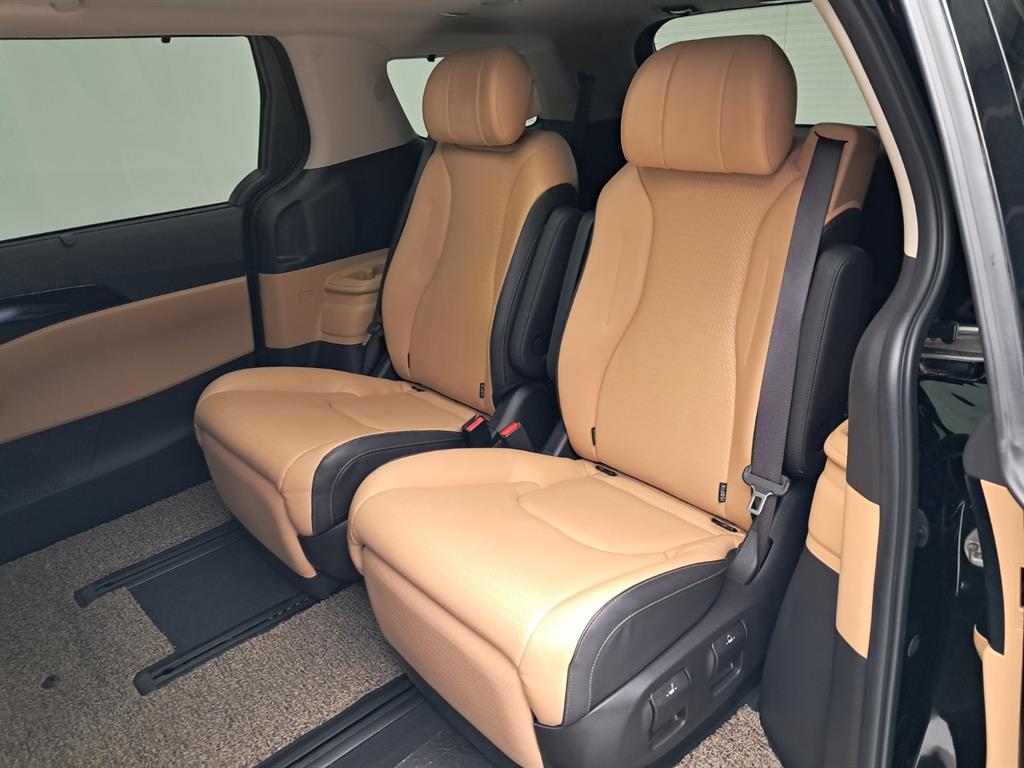 Kia Carnival — photo 12