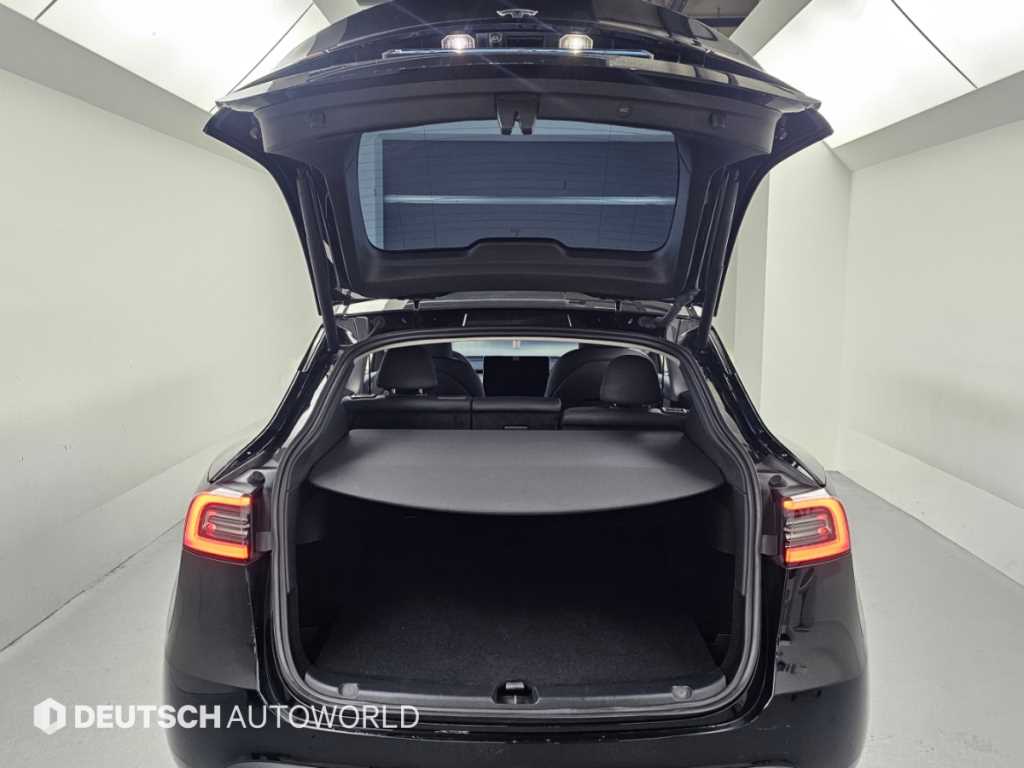 Tesla Model Y — photo 19