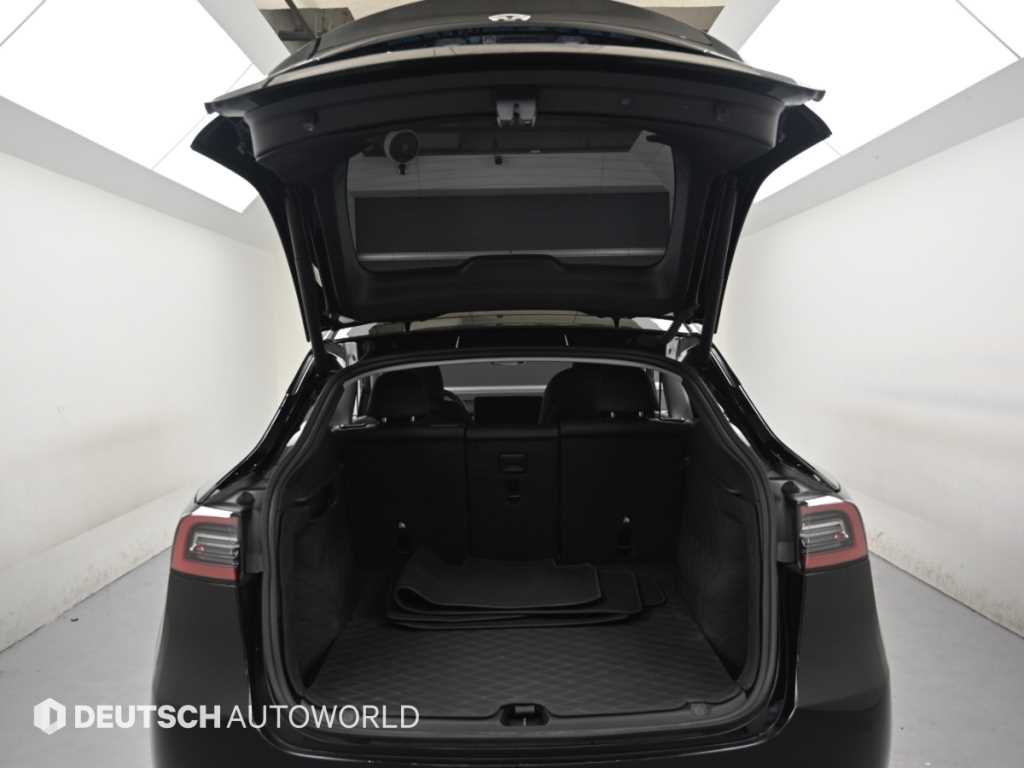Tesla Model Y — photo 19
