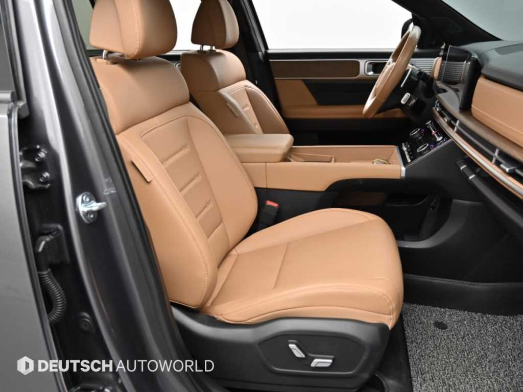 Hyundai Santafe — photo 10