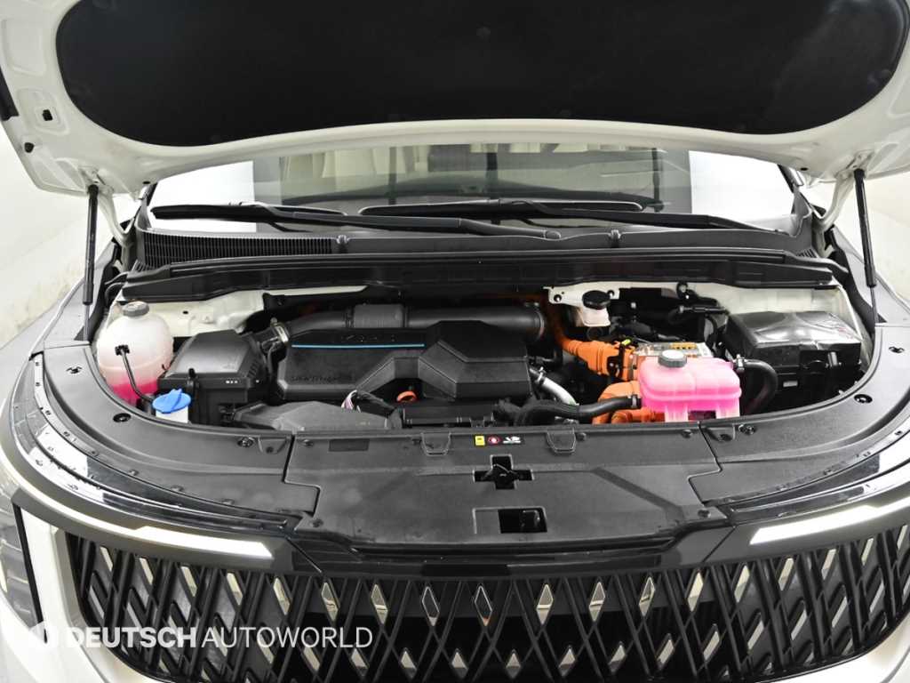 Kia Carnival — photo 06