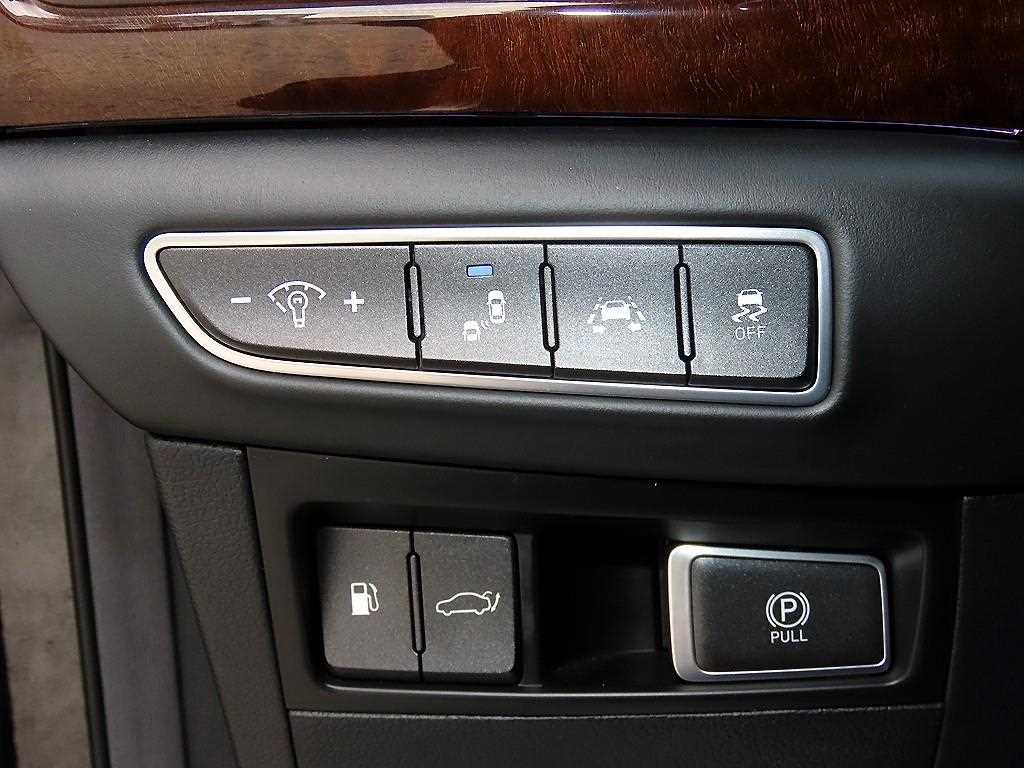 Genesis EQ900 — photo 13