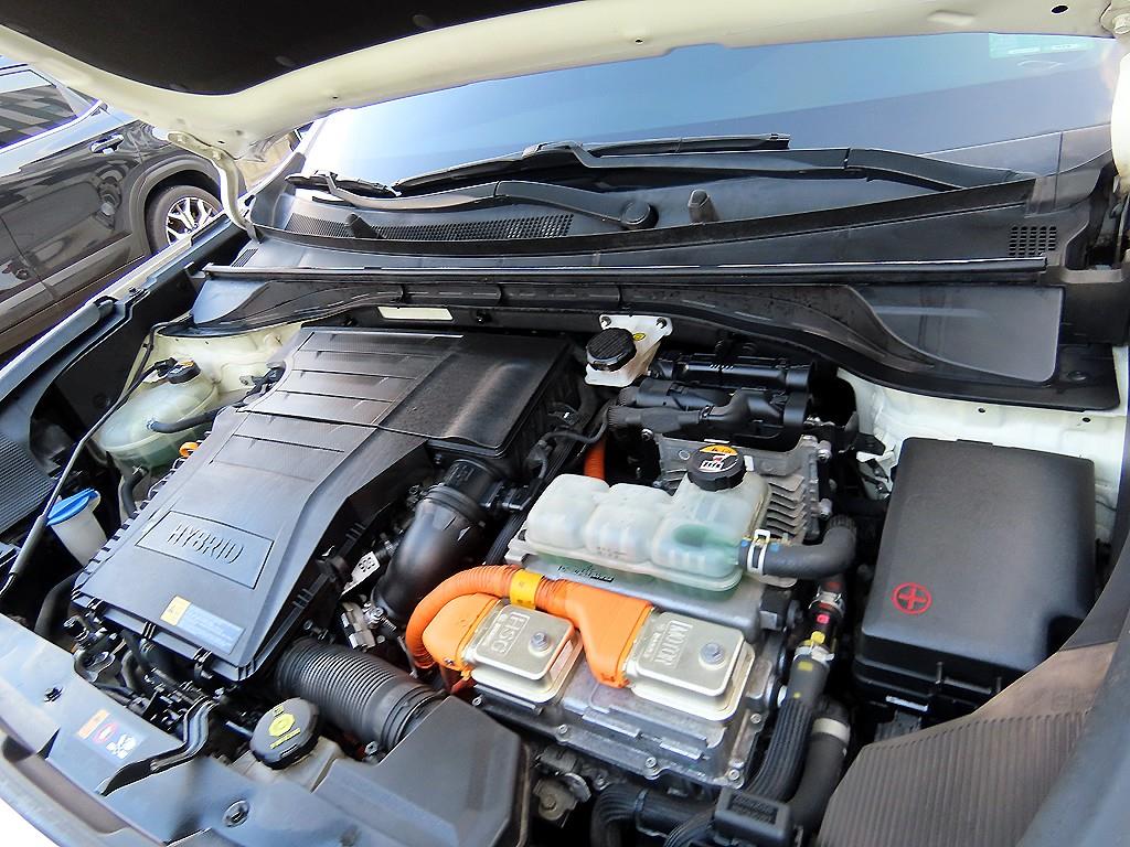 Kia Niro — photo 19