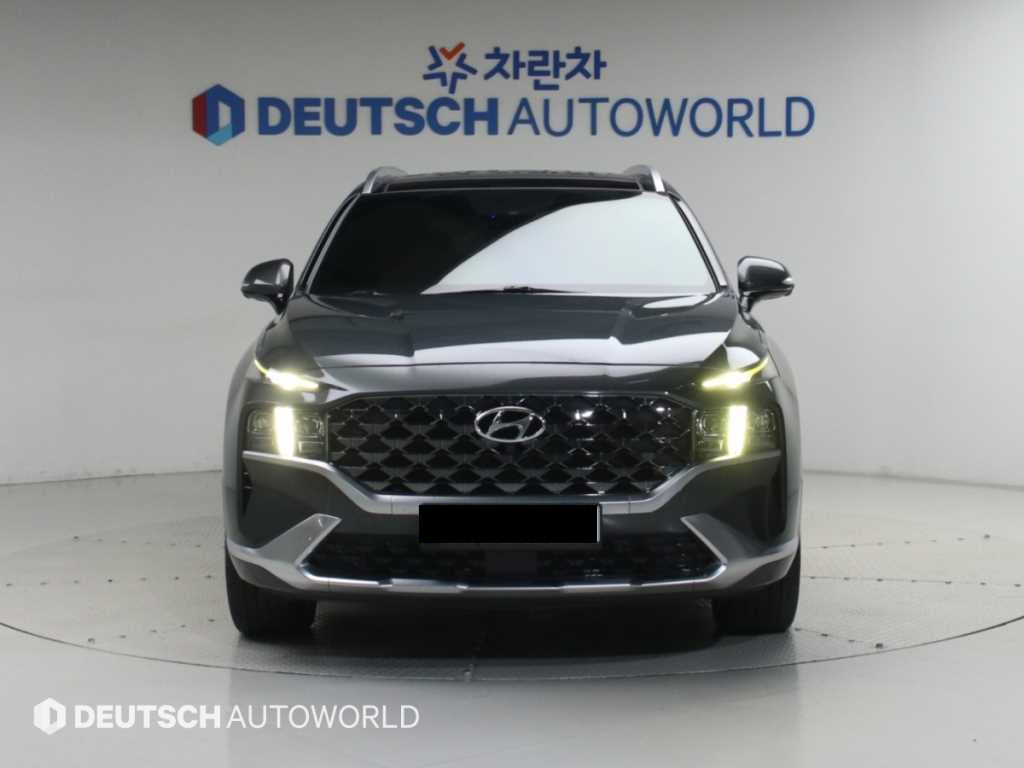 Hyundai Santafe — photo 03