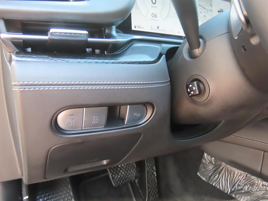Genesis G90 — photo 15