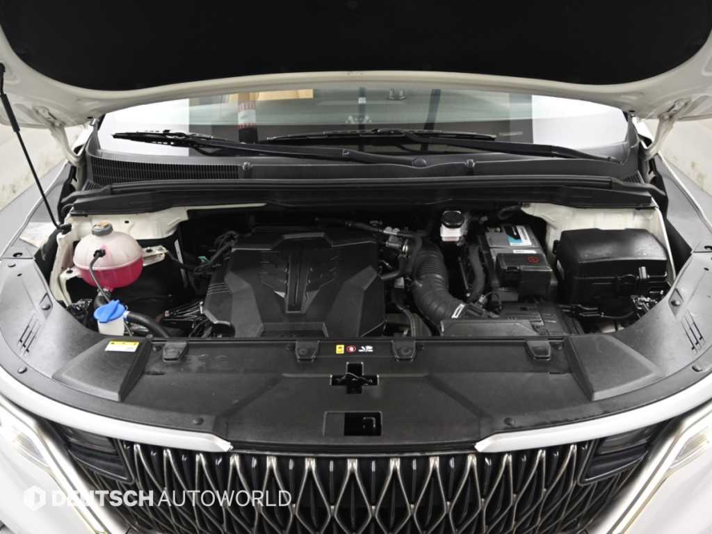 Kia Carnival — photo 06