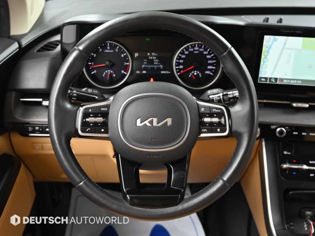 Kia Carnival — photo 13