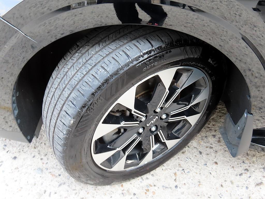 Kia Carnival — photo 20