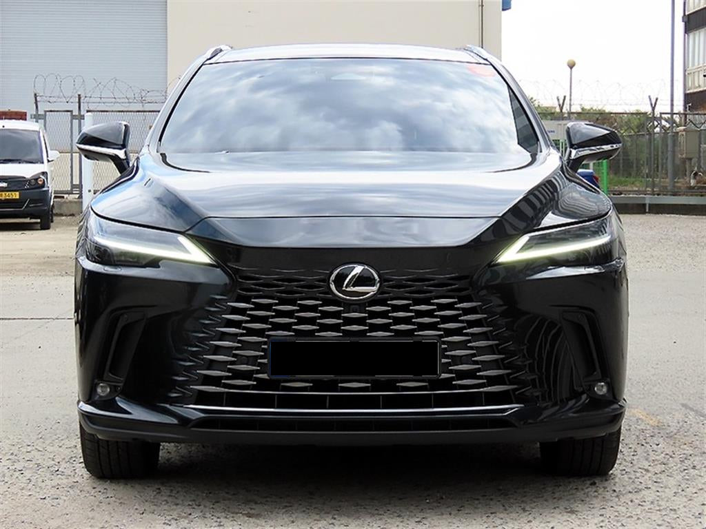 Lexus RX — photo 01