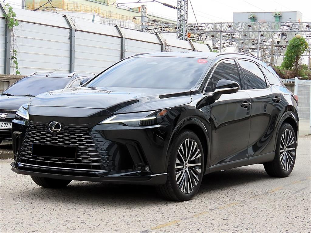 Lexus RX — photo 02