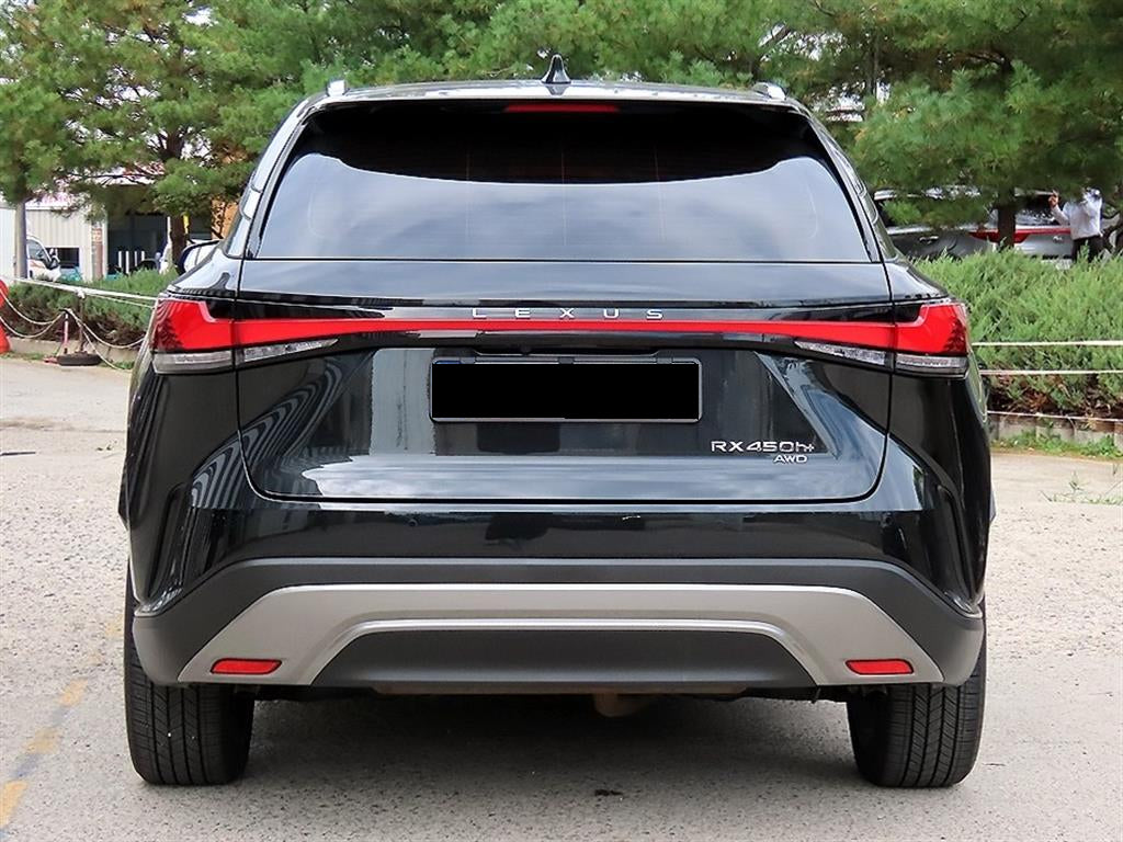 Lexus RX — photo 04