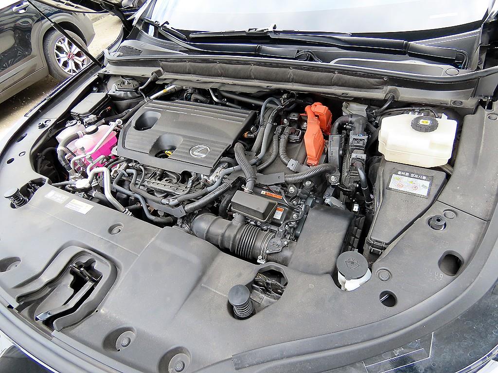 Lexus RX — photo 19
